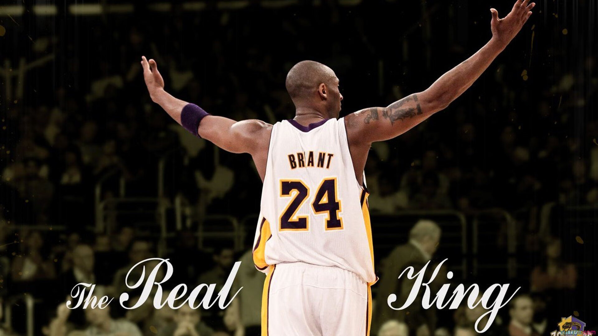 高尔夫大师赛：新晋选手勇夺绿夹克，高尔夫the green