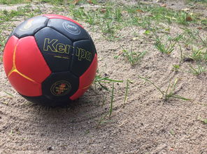 开云体育官方网站网址-世界青年手球锦标赛中国队勇夺三连胜，世界手球锦标赛几年一次