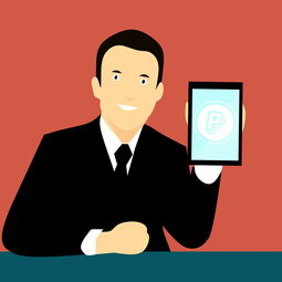 开云官网入口地址-中国篮球联赛品牌建设策略与粉丝经济发展研究，中国国内的篮球联赛简称